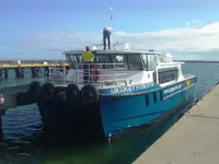 Catamaran à vendre