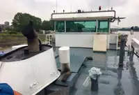 Péniche à vendre