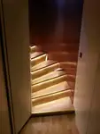Navire de croisière à vendre
