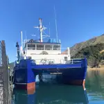 Catamaran à vendre