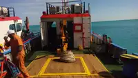 Bateaux de travail à vendre