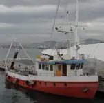 Bateaux de travail à vendre