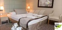 Navire de croisière à vendre