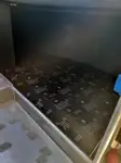 Navire de croisière à vendre