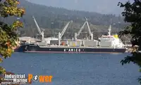 Vraquier à vendre