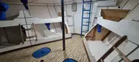 Remorqueur à vendre