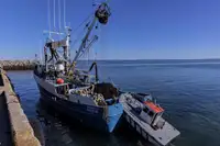 Chalutier à senne à vendre