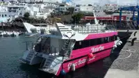 Catamaran à vendre
