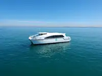 Catamaran à vendre