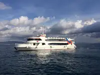 Navire de croisière à vendre