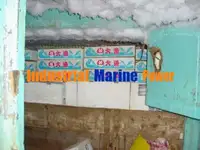 Palangrier à vendre