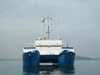 Polyvalent à vendre