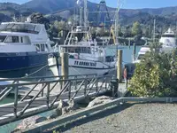 Chalutier à vendre