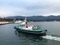 Bateau pilote à vendre