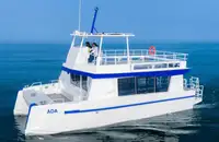 Catamaran à vendre
