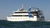 Catamaran à vendre