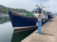 Bateau pilote à vendre