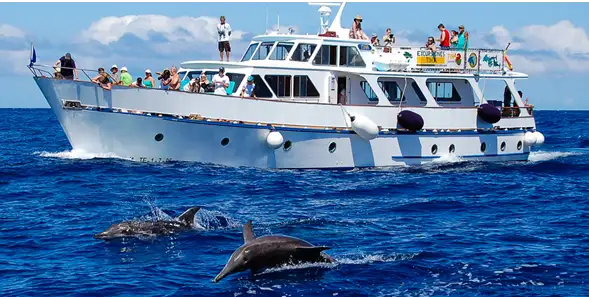 Navire de croisière à vendre