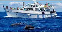 Bateau de croisière à vendre