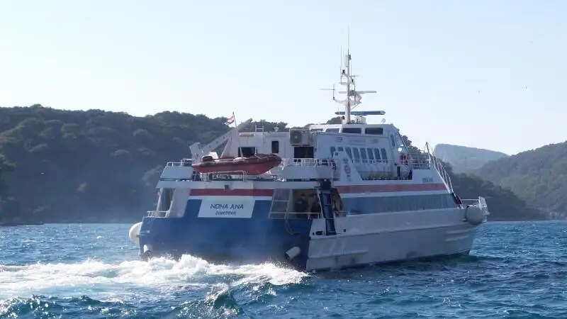 Catamaran à vendre