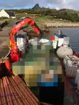 Bateaux de travail à vendre