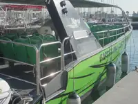Navire de passagers à vendre