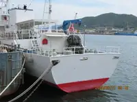 Bateau patrouilleur à vendre