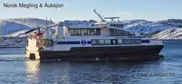 Navire Ro-Ro à vendre