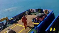 Bateaux de travail à vendre