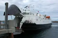 Transporteur de vrac à vendre