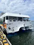 Catamaran à vendre