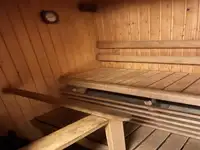 Navire de croisière à vendre