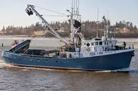 Purse seiner à vendre