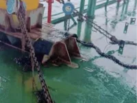 Péniche à vendre