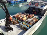 Bateaux de travail à vendre