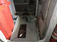 Navire de croisière à vendre