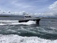 Bateau pilote à vendre