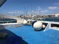 Catamaran à vendre
