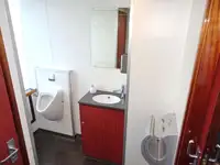 Navire de croisière à vendre