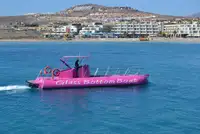 Bateau de croisière à vendre