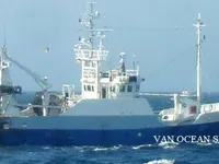 Chalutier à vendre