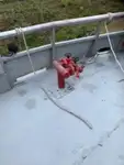 Bateaux de travail à vendre