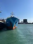 Navire frigorifique à vendre