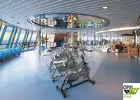 Navire de croisière à vendre