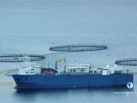 Navire frigorifique à vendre