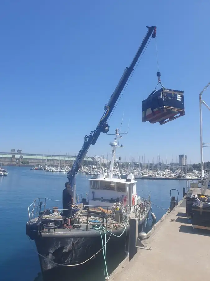 Bateaux de travail à vendre