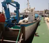 Bateaux de travail à vendre