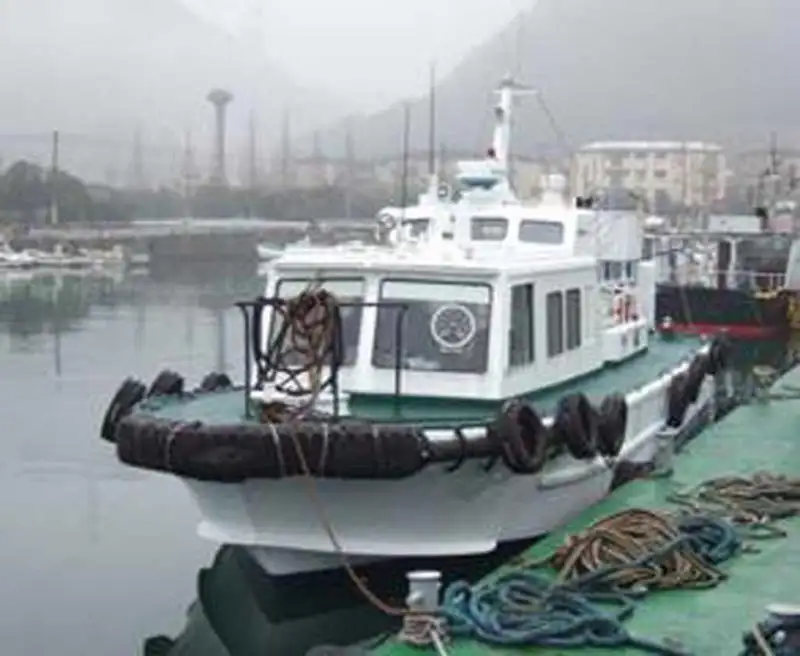 Bateau pilote à vendre
