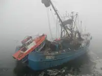 Chalutier à senne à vendre