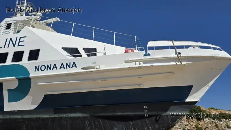 Catamaran à vendre